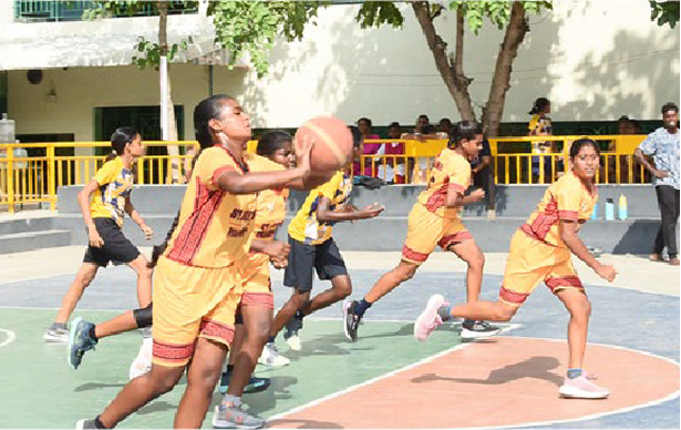 Basket Ball - images - 06